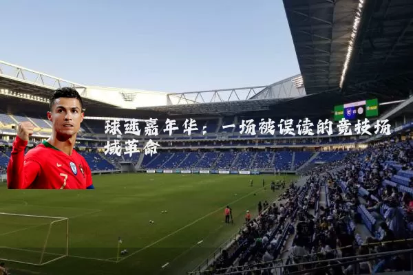 球迷嘉年华:一场被误读的竞技场域革命