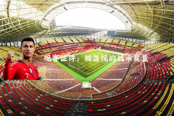 观赛证件：被忽视的战术变量